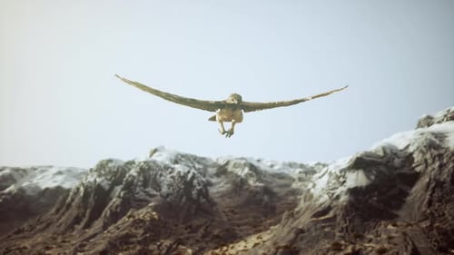 Majestic Eagle Soaring Over Snowy Mountain Peaks