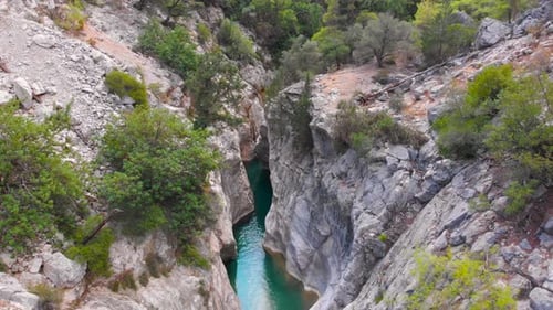 Flight Over a Mountain River and a Trail to a Gorge Among a Coniferous Forest