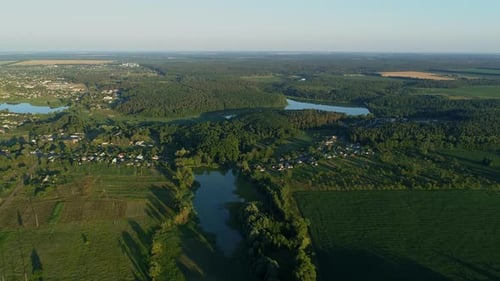 Aerial View Beautiful Landscape in Summer Drone Flying Corn Field in Sunny Day