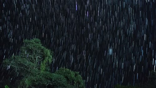 Star Trail