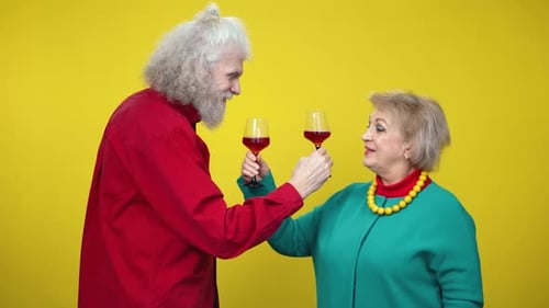 Senior Couple Celebrating Anniversary with Red Wine