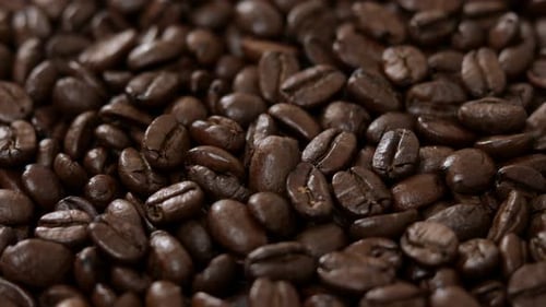 Roasted Coffee bean