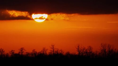 Golden Sunset with Silhouetted Trees and Dark Clouds