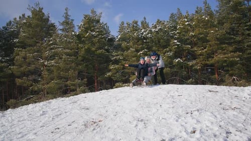 Elderly Man Helping Grandson to Go Down Hill on Sled with Grandma in Forest Happy Winter Weekend