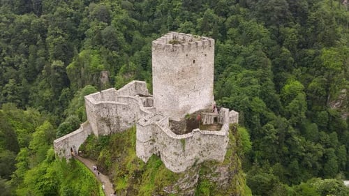Castle In The Forest