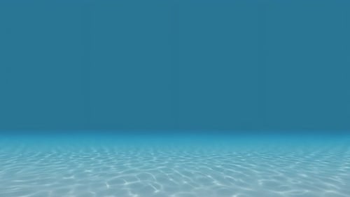 Underwater Camera Movement