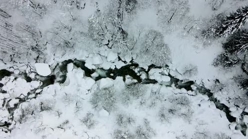 Snowy Forest And Stream
