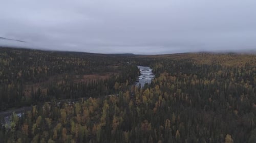 Fluss in der Mitte des Waldes