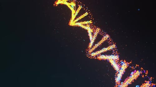 Bildung von DNA-Molekülen