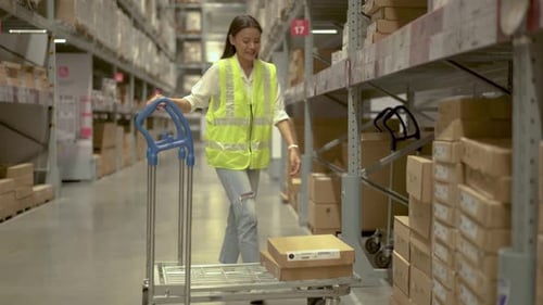 Mitarbeiterin, Lagerarbeiterin, arbeitet im Inventar mit gestapelten Regalen in einer Logistikfabrik