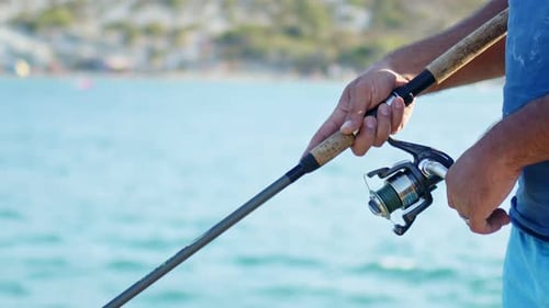 Catching Fish With Fishing Rod