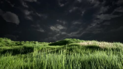 Gewitterwolken über Wiese mit grünem