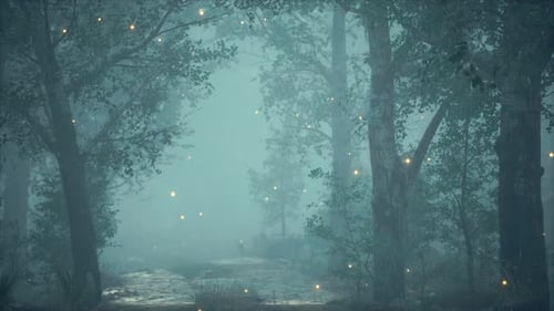Forêt en hauteur avec la lumière brillante de la lune