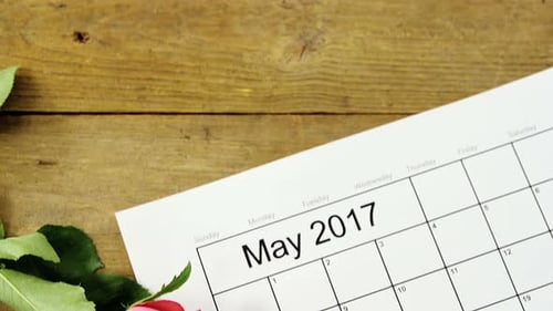 Pink rose on calendar