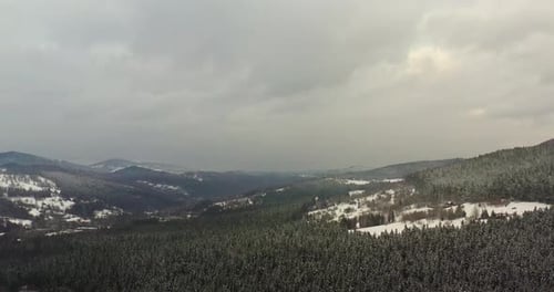 Forest Covered with Snow Aerial View. Aerial View of Village in Mountains