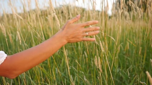 Handberührende Frau grünes Gras in Feldern