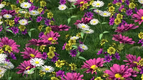Flores de primavera