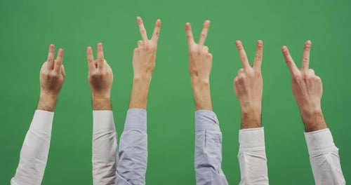 Various Arms and Hands Gesturing on Green Screen
