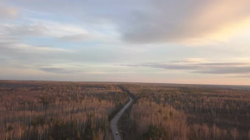 Forest Road