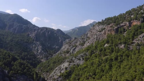 Aerial View of Mountain Gorge Covered with Green Forest