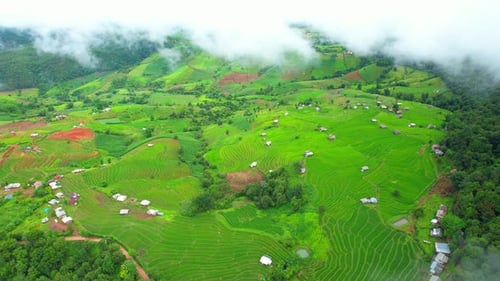 Drone sobrevoando um campo de terraços de arroz verde na zona rural