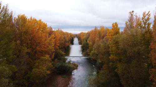 Imagens de vídeo do rio - Floresta no outono