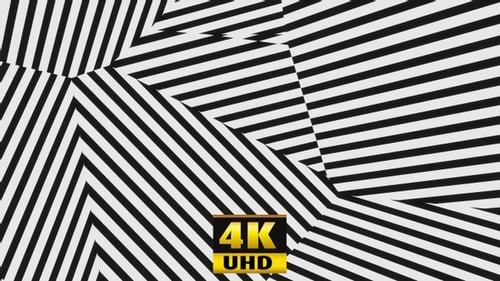 Fondo de líneas blancas y negras 4K