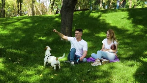 Happy Family and Dog Relaxing in Park