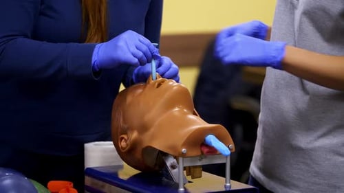 Medical Professionals Practice Intubation on Training Dummy