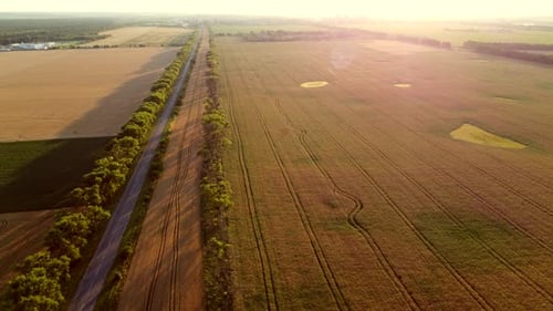 Drone Flying Over Road Between Wheat Fields During Dawn Sunset
