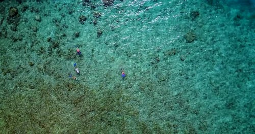 Natural above tourism shot of a sandy white paradise beach and aqua blue ocean background in best qu
