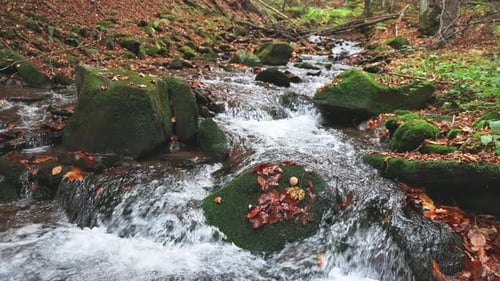 Mountain River with Autumn Leaves