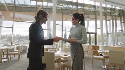 Business Professionals Shake Hands in Modern Restaurant