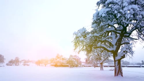 Paisaje de nieve de invierno frío