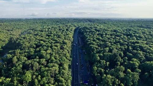 Car Riding on the Highway Through the Forest on Countryside