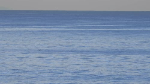 The peaceful blue Pacific Ocean.