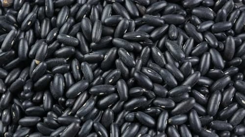 Pile of Uncooked Black Beans