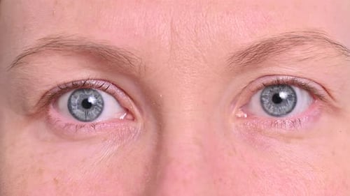 female gaze close-up. human eyes