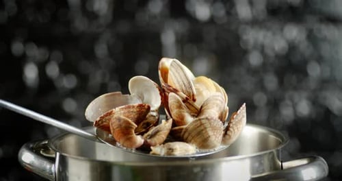 Les moules Vongole ont été sorties de la poêle.