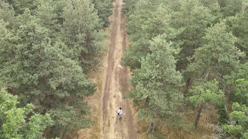 um homem caminhando pela floresta em uma estrada empoeirada