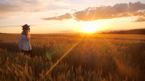 young caucasian bohemian female wearing hat in a barley field during sunset