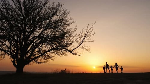 Silhouettes of Happy Family Walking Together in the Meadow During Sunset