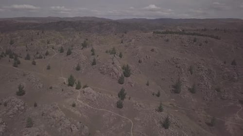 Sparse Trees Dot Hilly Landscape Aerial