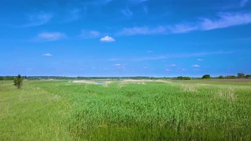 Flight Over Green Meadow and River in Spring