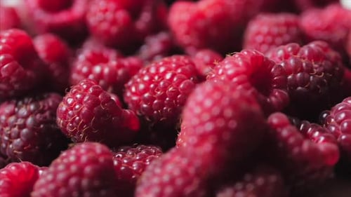 Fond de framboise frais et juteux, mû