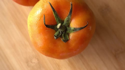 Gros plan de tomates