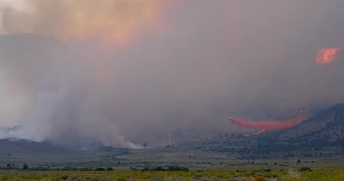 Forest Fire Water Dropping Airplane
