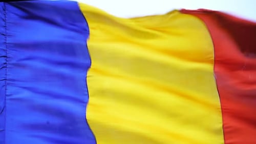 Waving Tricolor Flag with Vertical Stripes Close Up