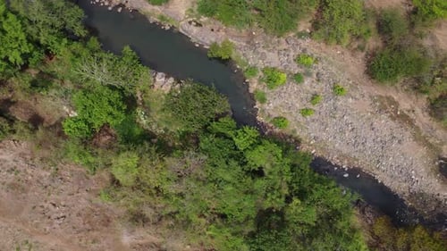 Jungle River Stream Tropical Creek