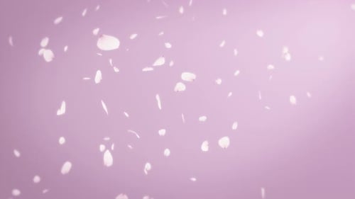 Cherry Blossom Pink 4K